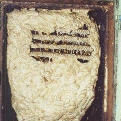 Mangel durch Brand Mangel durch Brand